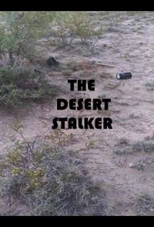 Сталкер в пустыне